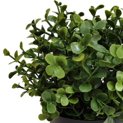 Artificial Buxus Plant