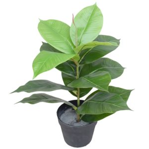 Artificial rubber plant