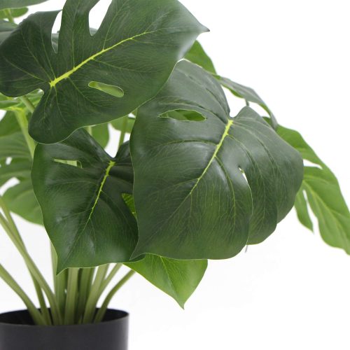 Fake Split Philodendron