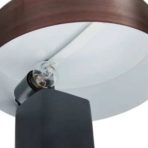 LED Table Lamp