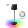 Portable Outdoor Table Lamp - Black
