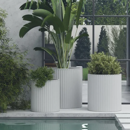 Large Pot for Plants