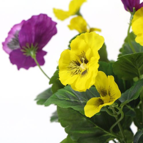 Pink yellow potted plants