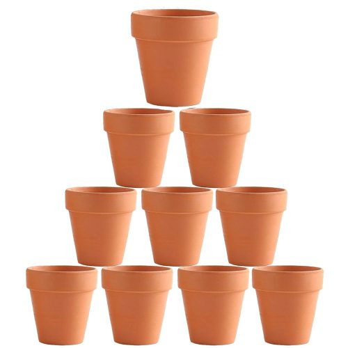 Pot for succulent plants