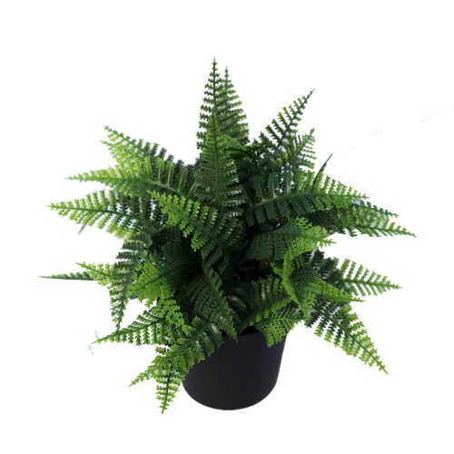 Potted fake fern