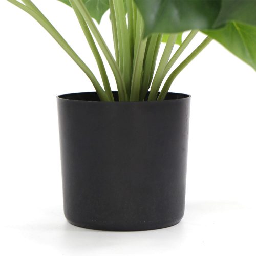 Split Philodendron Decoration