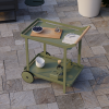 Imola Outdoor Bar Cart - Eucalyptus Green