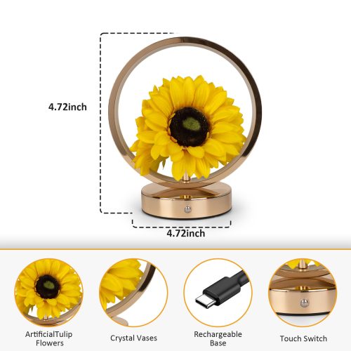 USB-powered ring light