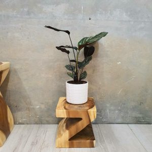 Z Shape 25cm Plant Stand