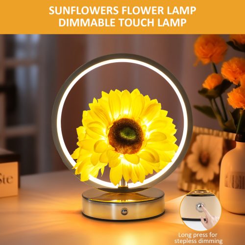 ambient lighting decor