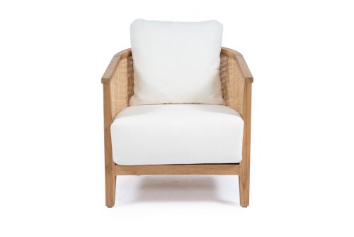 elegant living room chair