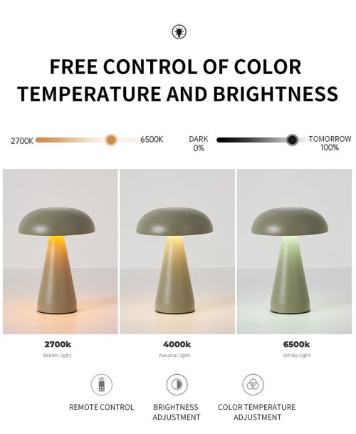 rechargeable table lamp