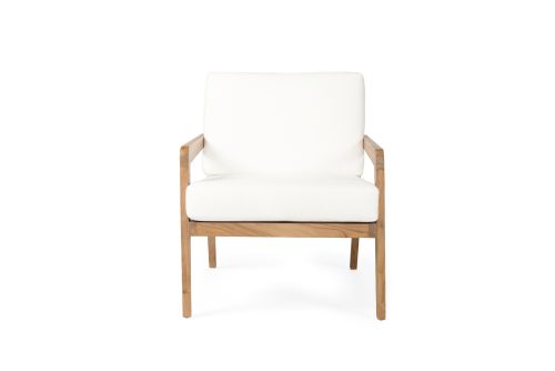 stylish lounge chair